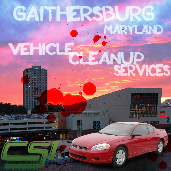 Maryland Vehicle Blood Cleanup