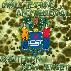 Mold Removal Southern NJ
