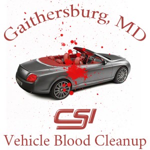 Gaithersburd MD Vehicle Blood Cleanup